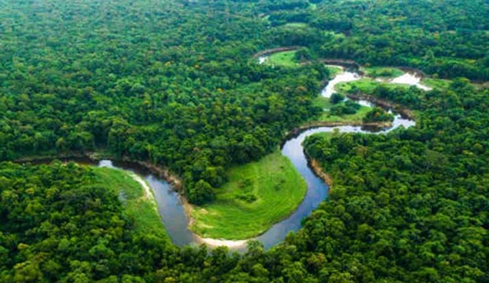 Projeto de educação ambiental une Amazônia e Mata Atlântica