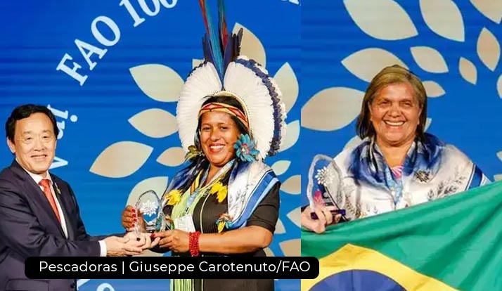 Pescadoras brasileiras recebem homenagem da ONU