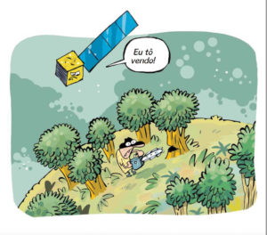Dia Mundial da Floresta