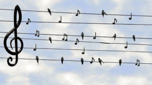 música faz bem