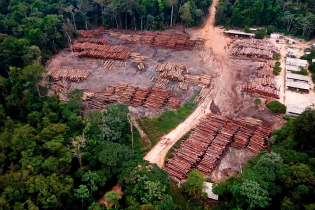 desmatamento na Amazônia