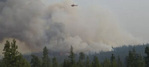 incêndios florestais