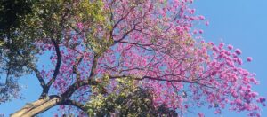 início da Primavera