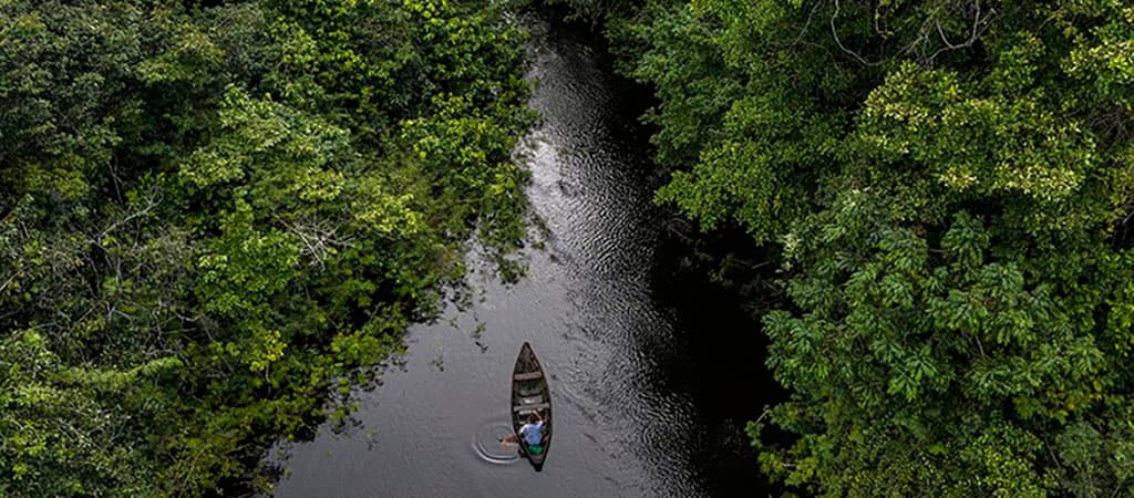 Tec Amazônia