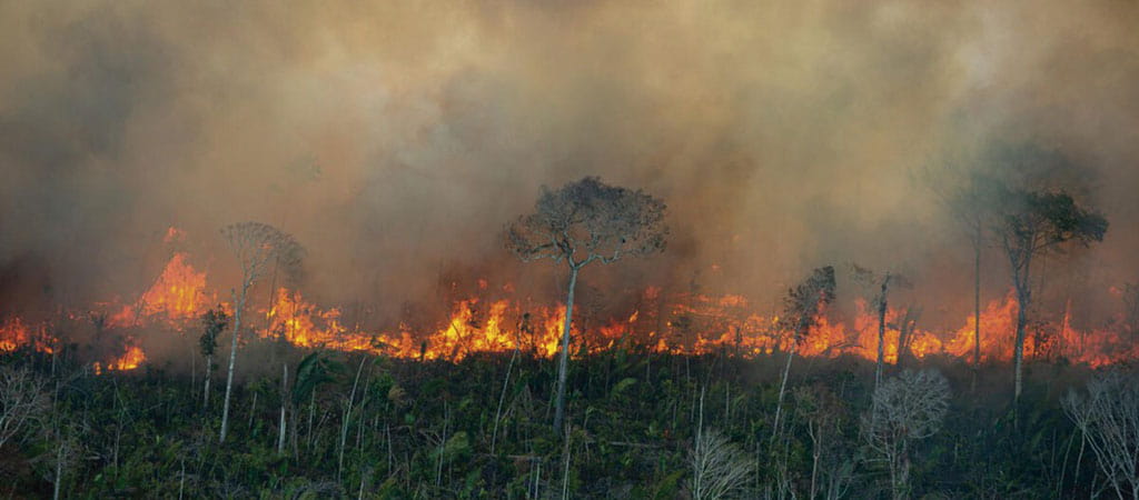 Queimadas na Amazônia Legal