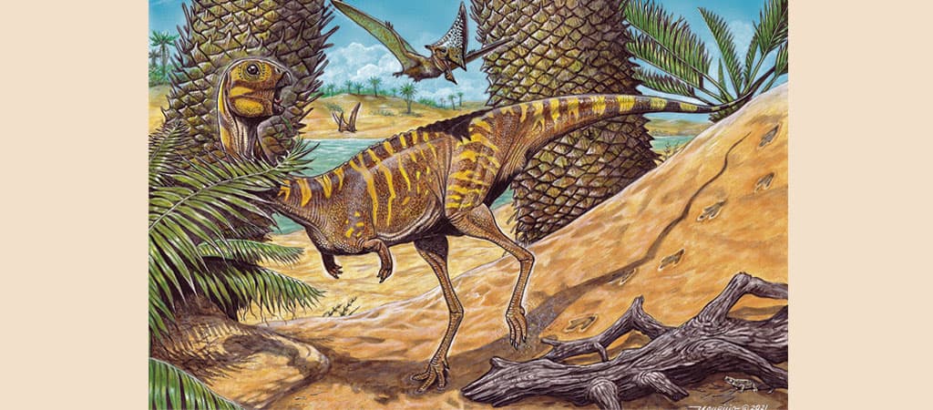 Berthasaura leopoldinae, dinossauro brasileiro