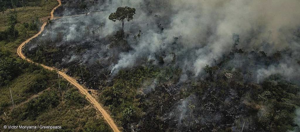 desmatamento n Amazônia