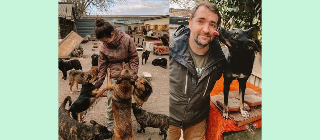 casa ucraniano cuida de pets abandonados na guerra