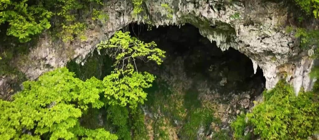 Cientistas-descobrem-antiga-floresta-dentro-de-buraco-gigante-na-China
