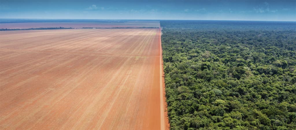 Desmatamento na Amazônia