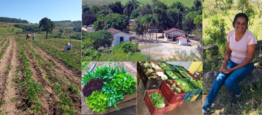 Quilombo Cafundó no Dia da Consciência Negra