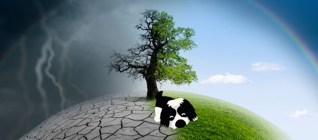O diário de um cachorro nas férias com chuva: as mudanças climáticas