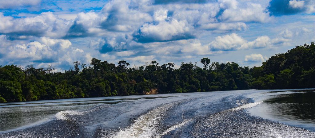 rios voadores da Amazônia