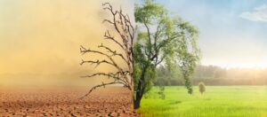 Mudanças climáticas