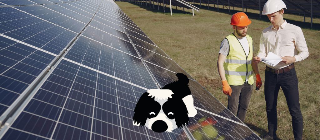 Mike, o cachorro do Jornal da Criança comenta sobre painéis solares