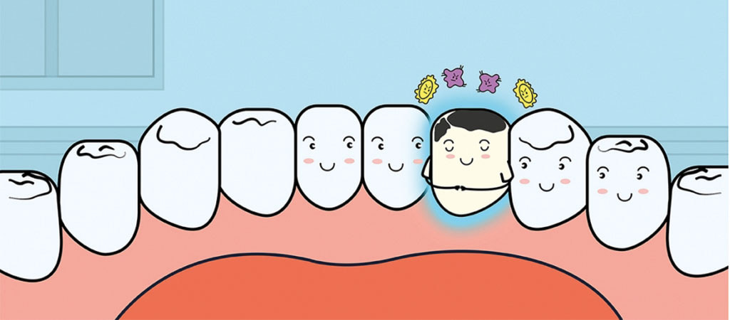 estudo científico sobre as células-tronco dos dentes
