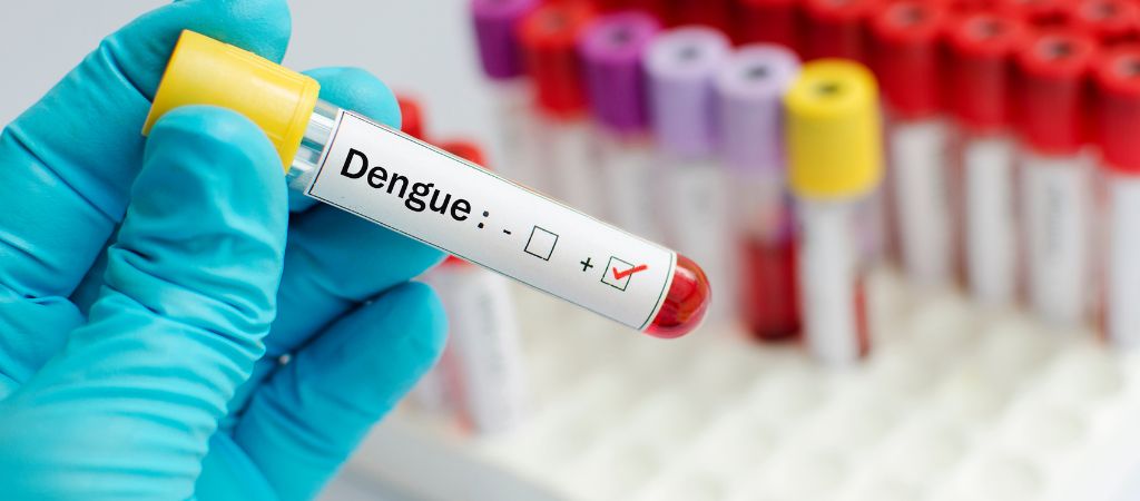 Vacinas contra a dengue para crianças e jovens