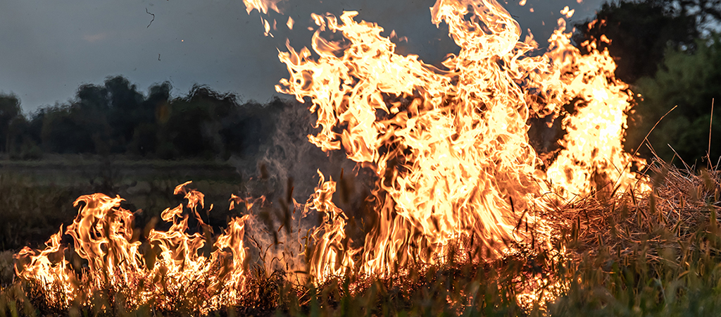 Incêndio florestal de grandes proporções atinge o Canadá