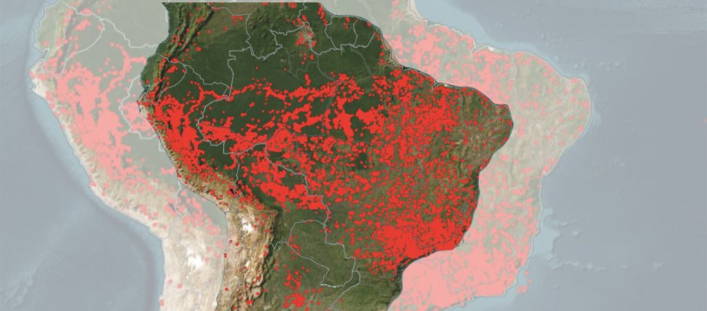 Regiões do Brasil com registro de queimadas em 2024