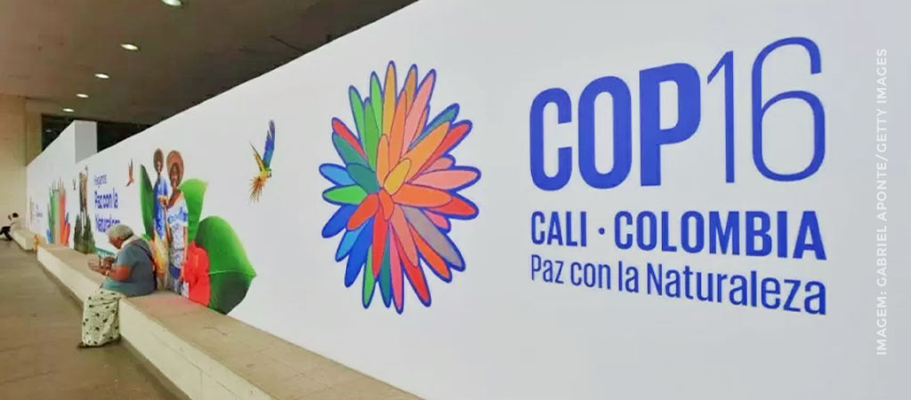 COP16 acontece em Cali, na Colômbia