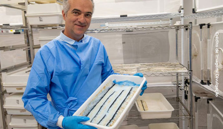 Cientista brasileiro é reconhecido pela revista Nature