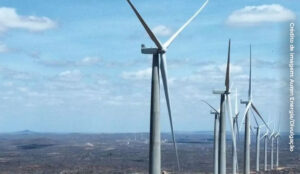 Observatório do Clima lança recomendações para futuro mais sustentável