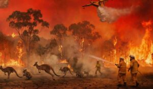 Onda de calor histórica atinge a Austrália