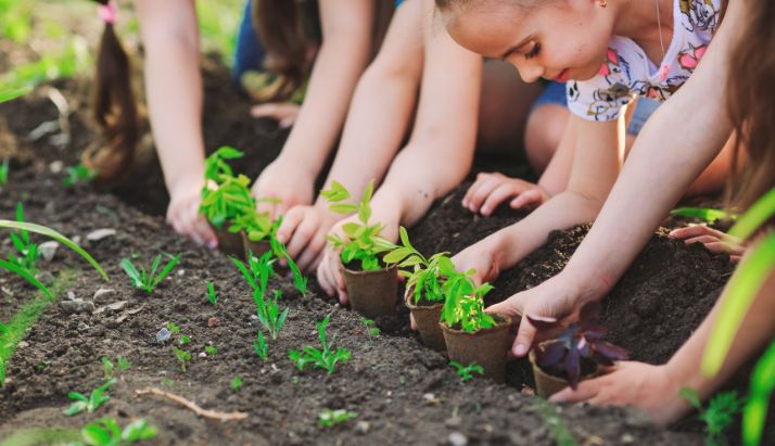 Escolas brasileiras inspiram alunos a proteger o planeta
