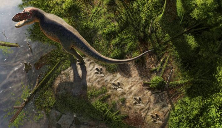 Cientistas encontram pegadas de Tyrannosaurus rex